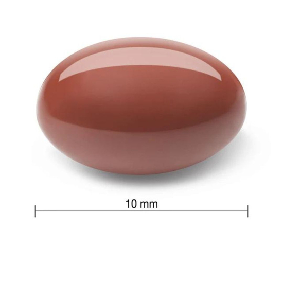 Echinacea (Ehinacea) 4,000 mg ULTRA SNAGE | meke gel kapsule