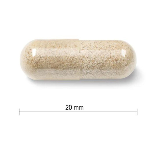 Gvožđe 28mg sa Vitaminom B2, B12, C i Folnom kisjelinom (Gentle Iron), 90 kapsula