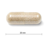 Thumb Gvožđe 28mg sa Vitaminom B2, B12, C i Folnom kisjelinom (Gentle Iron), 90 kapsula